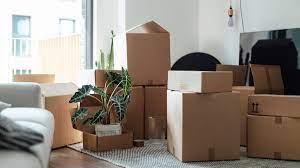 10 Best Moving Boxes Manufacturers and Suppliers in Sint Maarten